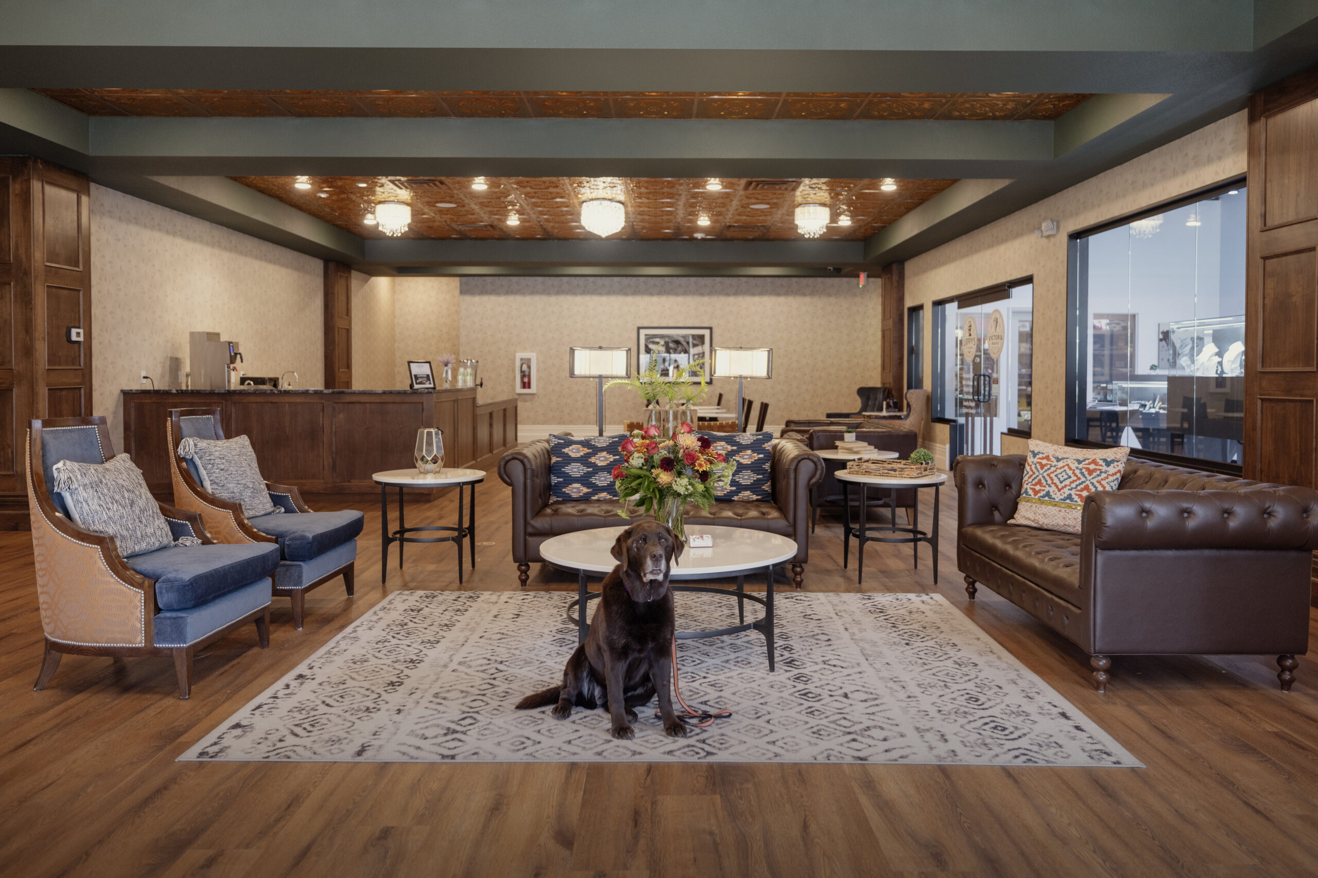 A brown lab sitting in the lobby of The Parker Hotel